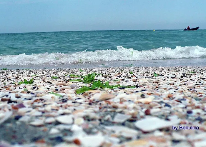 Belle Sea View アパート