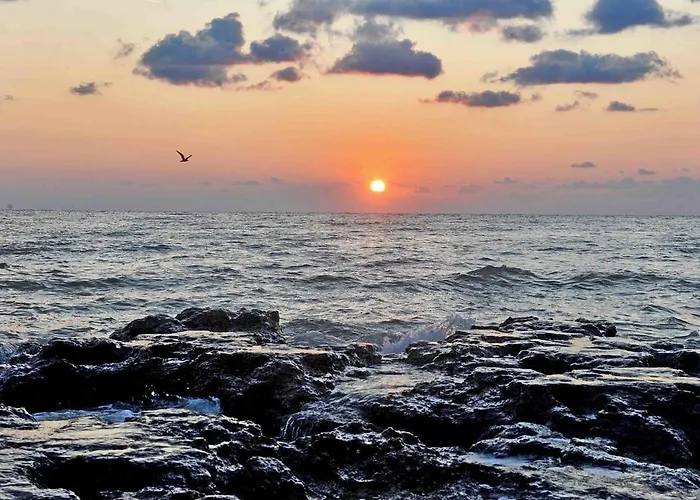 Belle Sea View アパート