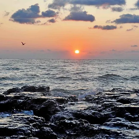 Belle Sea View شقة